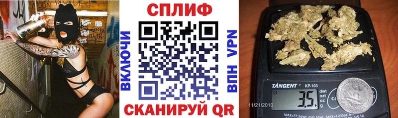 Как найти наркотики Шуя Гашиш  А ПВП  Меф мяу мяу 