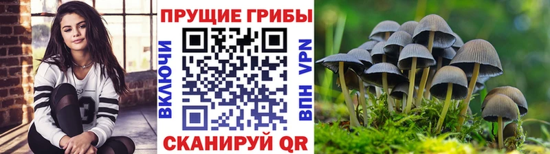 Псилоцибиновые грибы GOLDEN TEACHER  Шуя 
